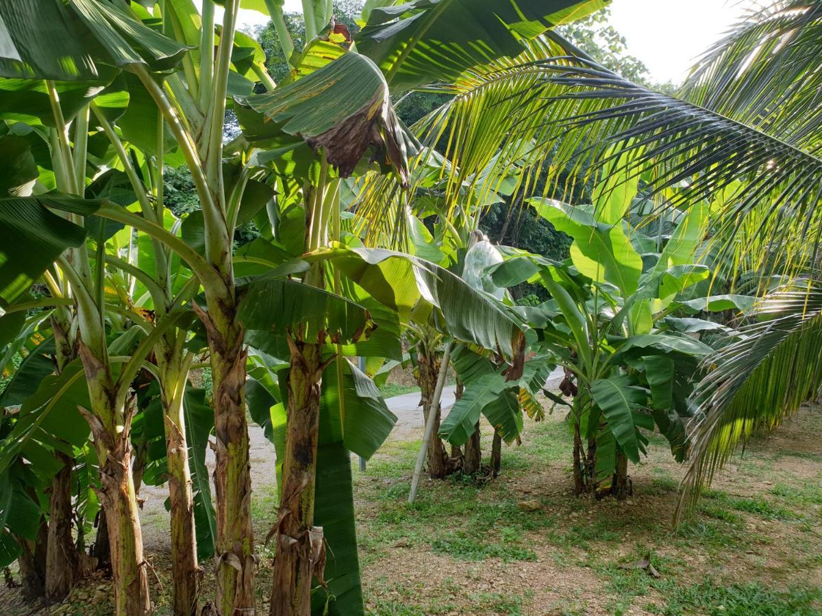 Baan Suan Coconut Ko Yao Noi酒店 外观 照片