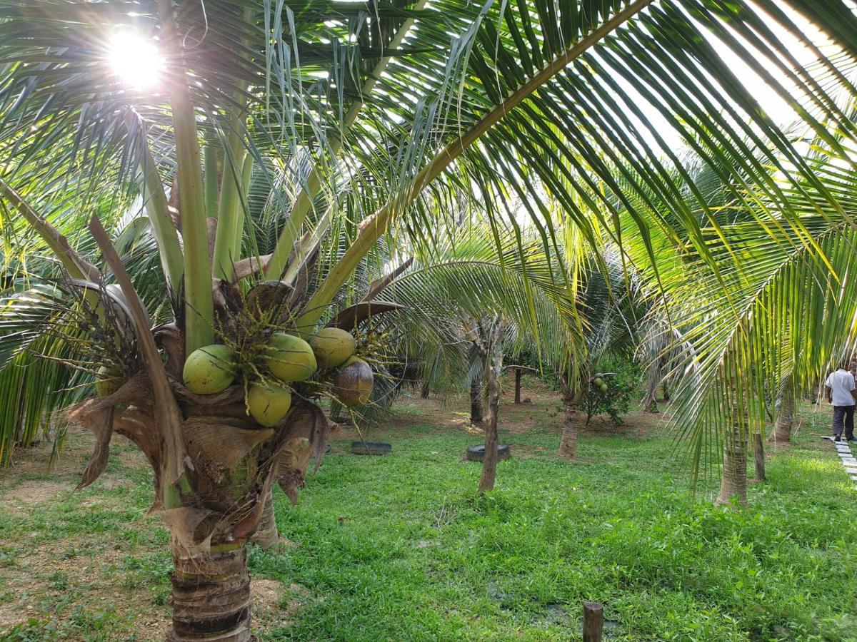 Baan Suan Coconut Ko Yao Noi酒店 外观 照片